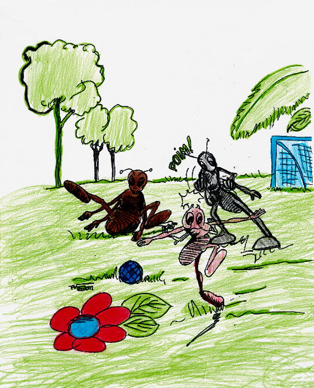 Jogo De Formigobol